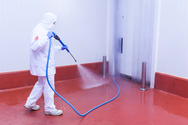 Reliable River Forest, IL Pressure Washing Services Solutions