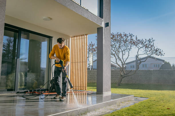 Pre-Holiday Cleaning in River Forest, IL